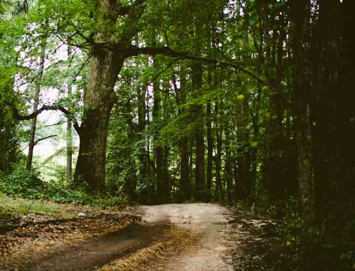 电话在线轰炸网页版