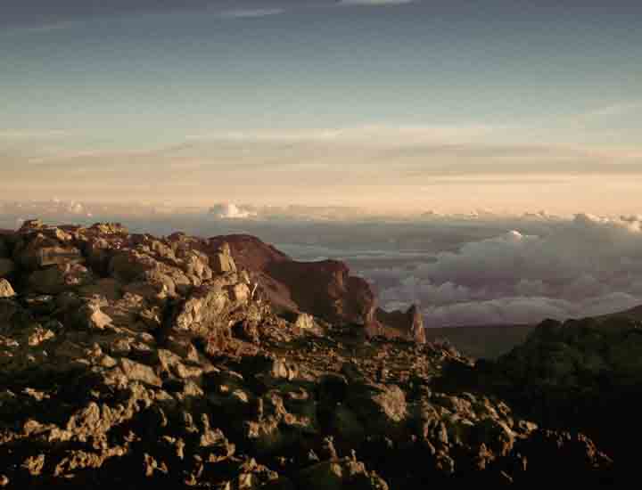在线短信轰炸机